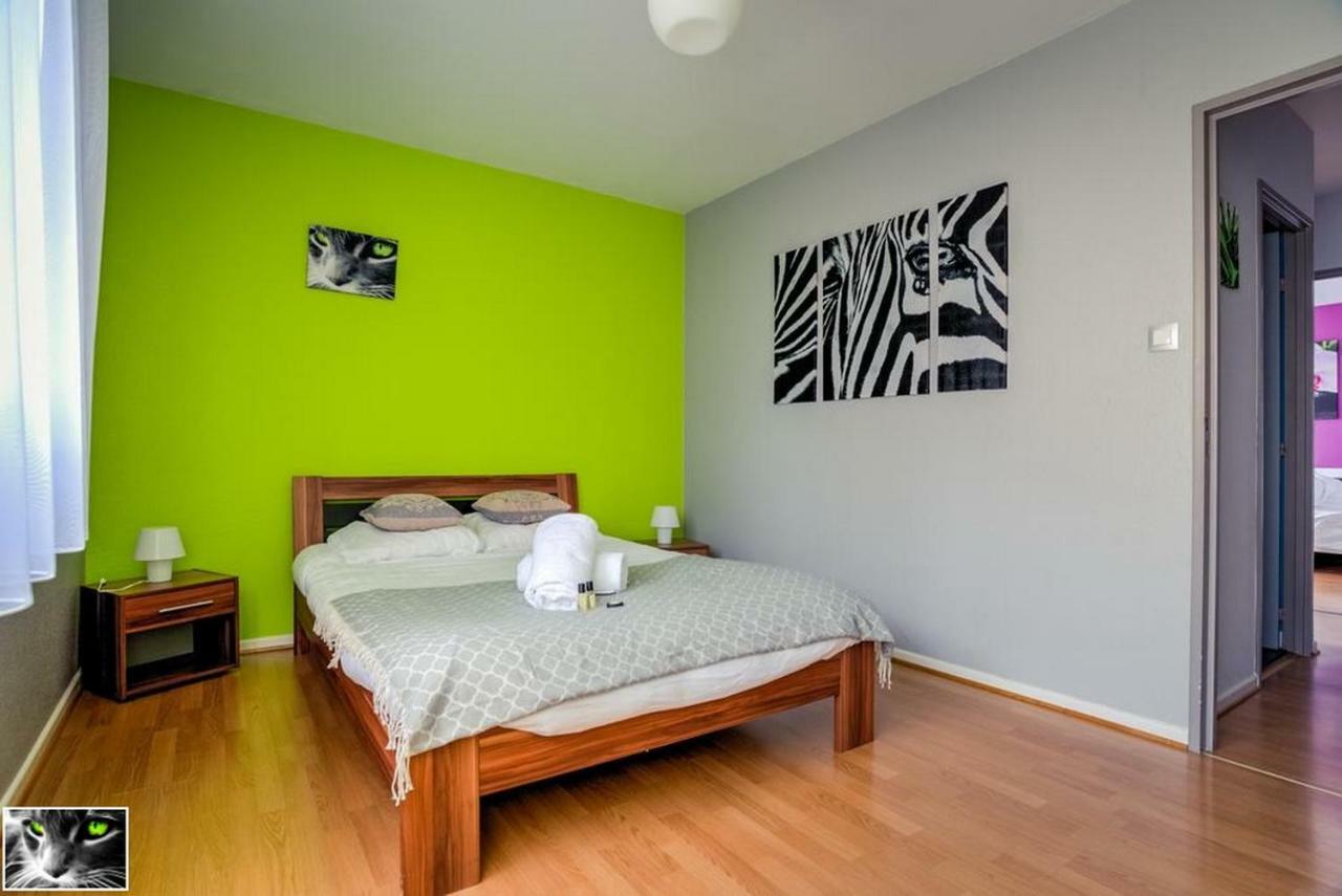 Appartement Spacieux Schiltigheim Exterior foto